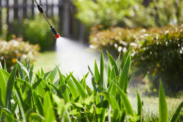 24/7 Emergency Termite Control experts in Sumas, WA